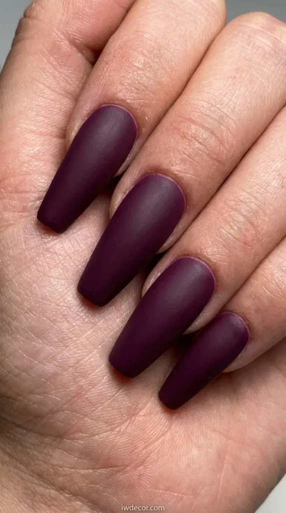 Nail Shapes