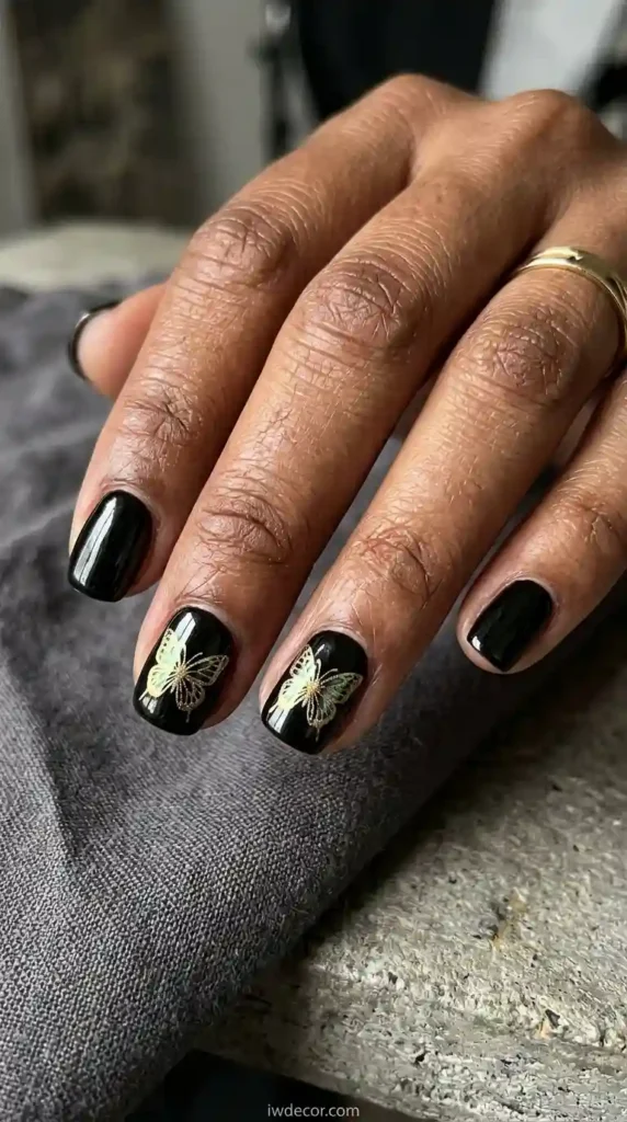 Black Butterfly Accents