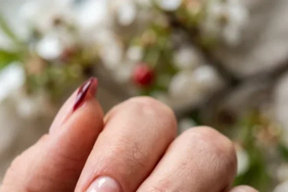 Cherries & Flowers