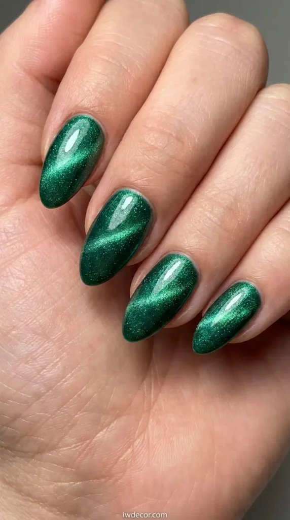 cat eye nail varnish