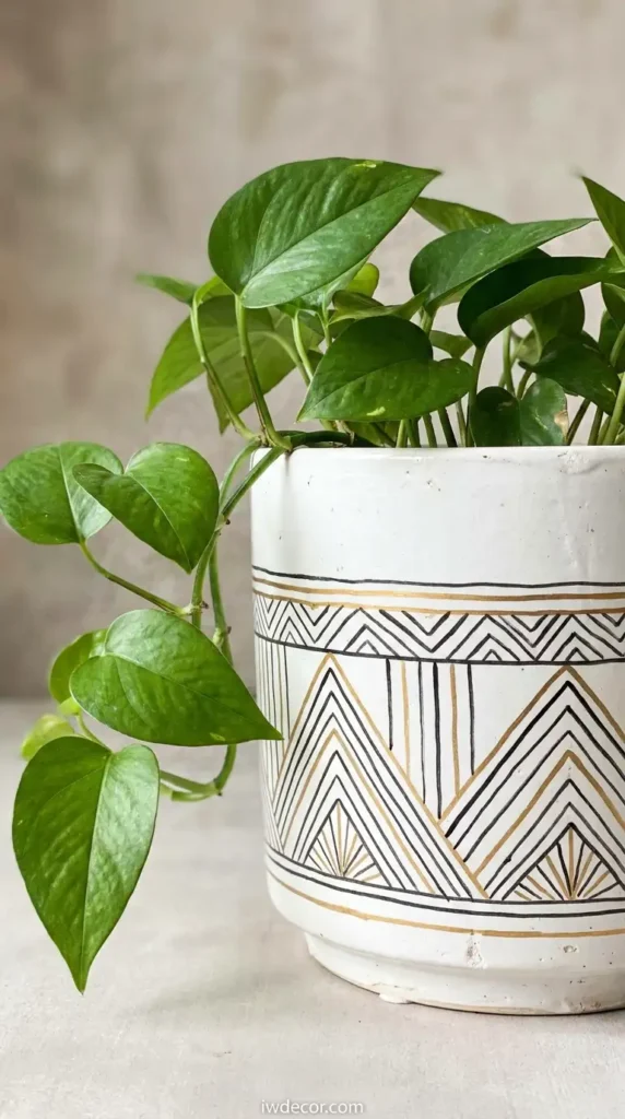 Customizing Inexpensive Planters with Paint Pens