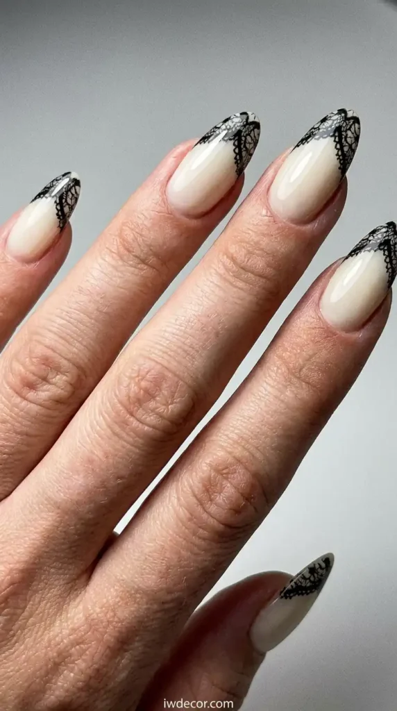 Elegant Black Lace Overlay