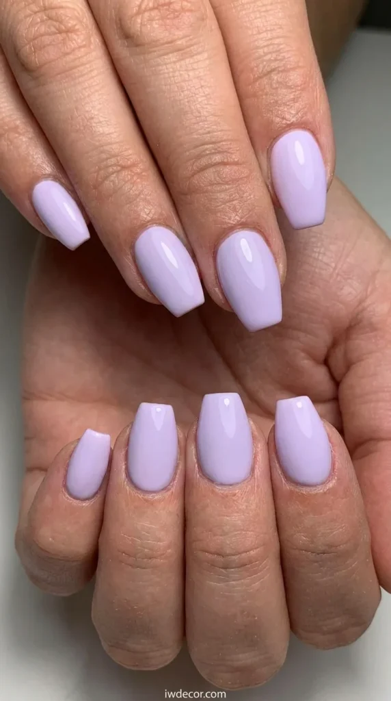 Gentle Pastel Hues