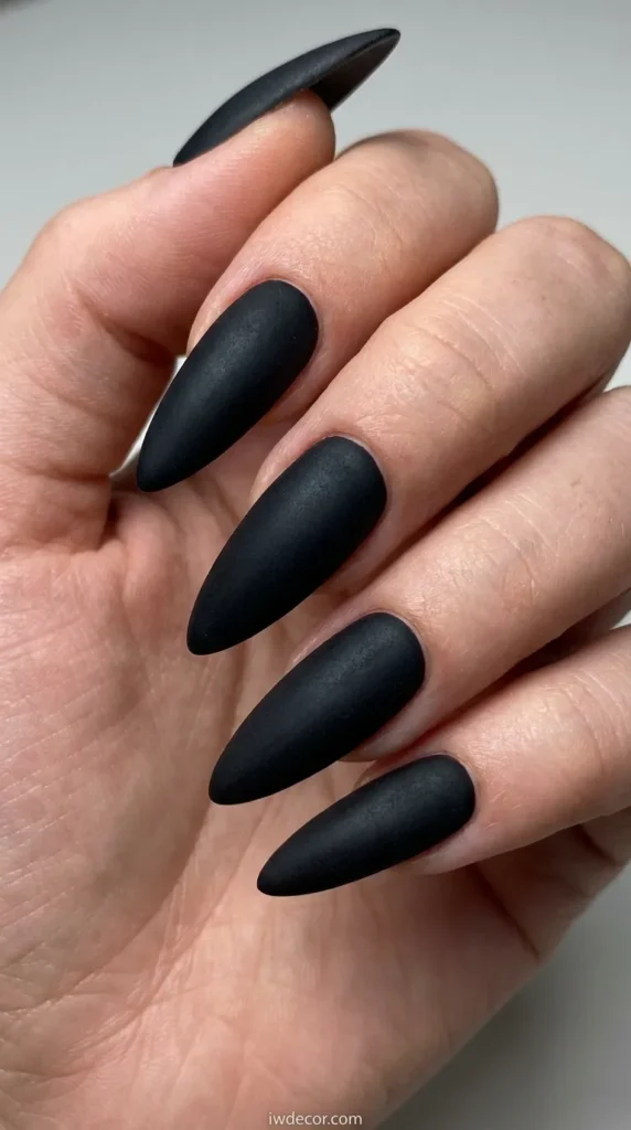 Matte Black Stiletto Nails