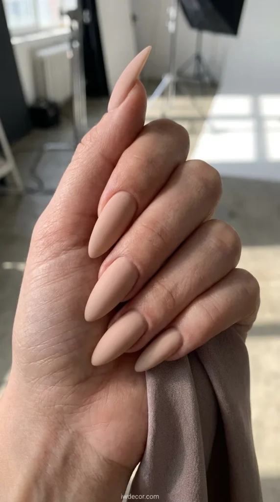 Matte Nude Stiletto Nails