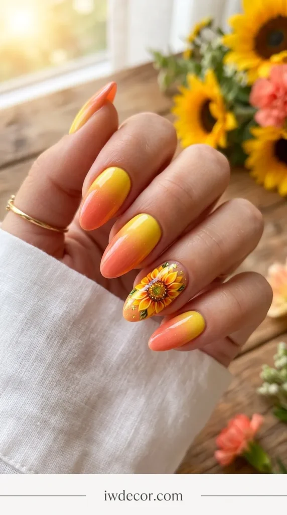 Ombre + Sunflower Combo