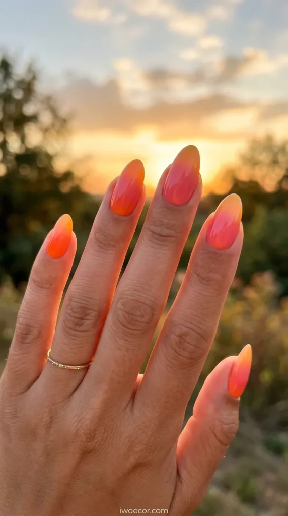 Sunset Gradient