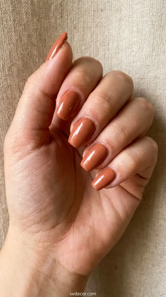 Warm Terracotta Earth Tones
